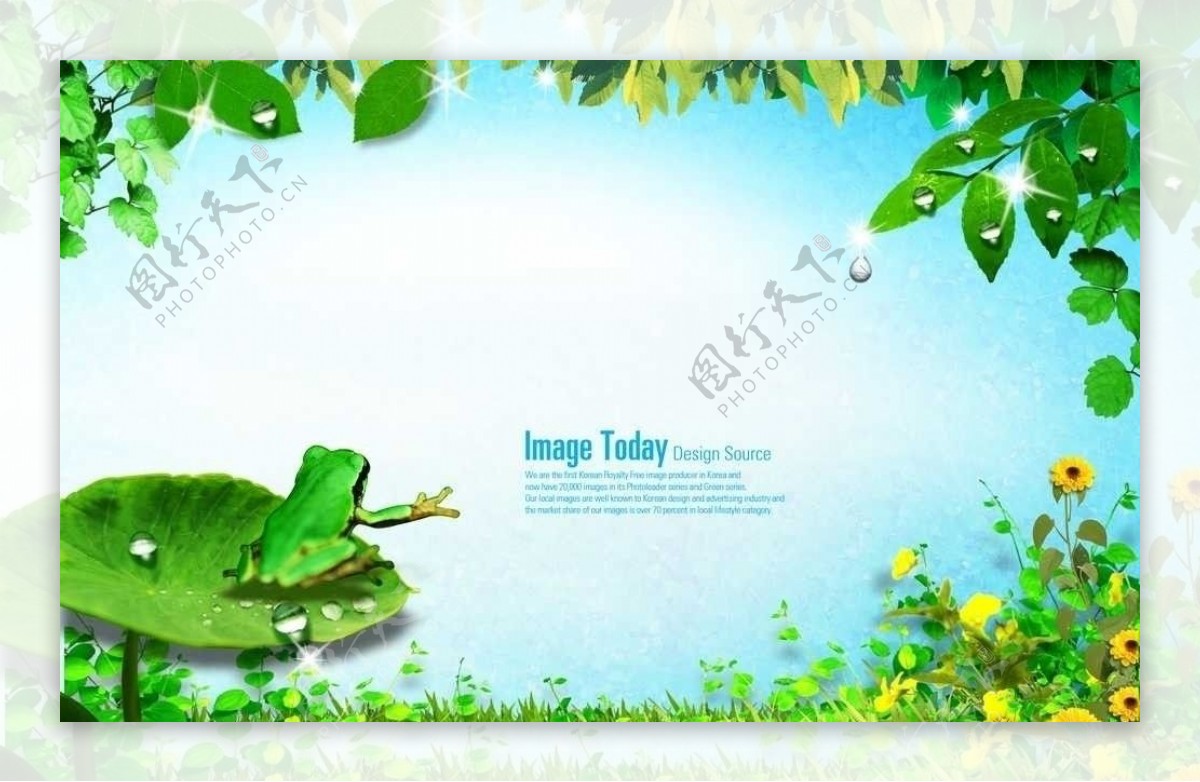 清新绿色自然环境素材图片