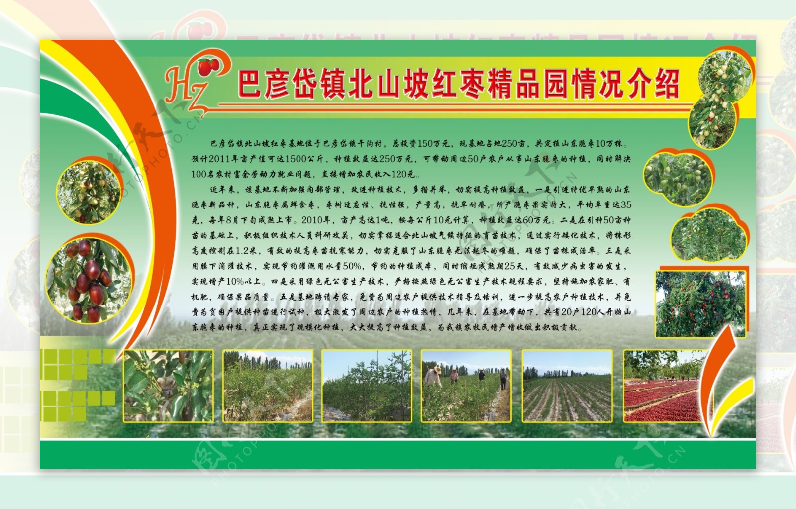 农产品介绍展板图片