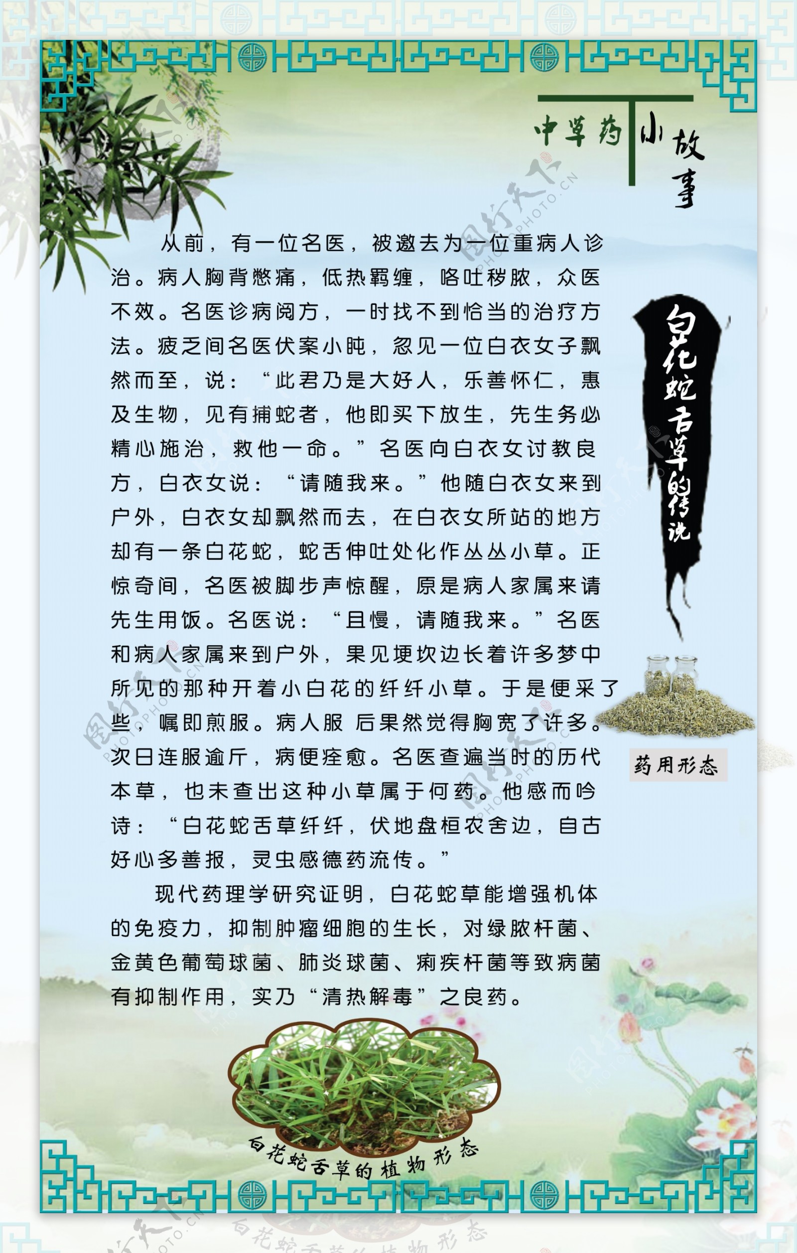 中草药小故事展板图片