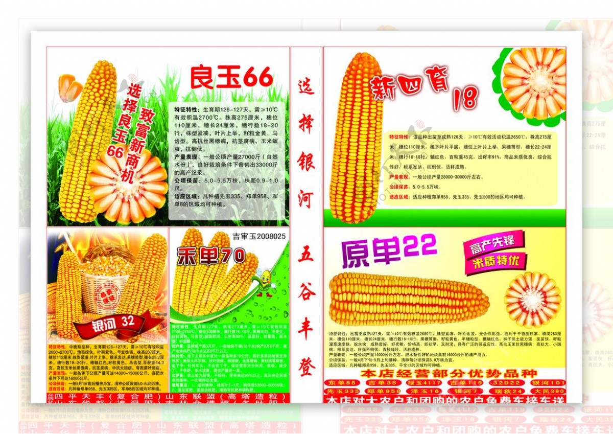 玉米宣传报纸图片