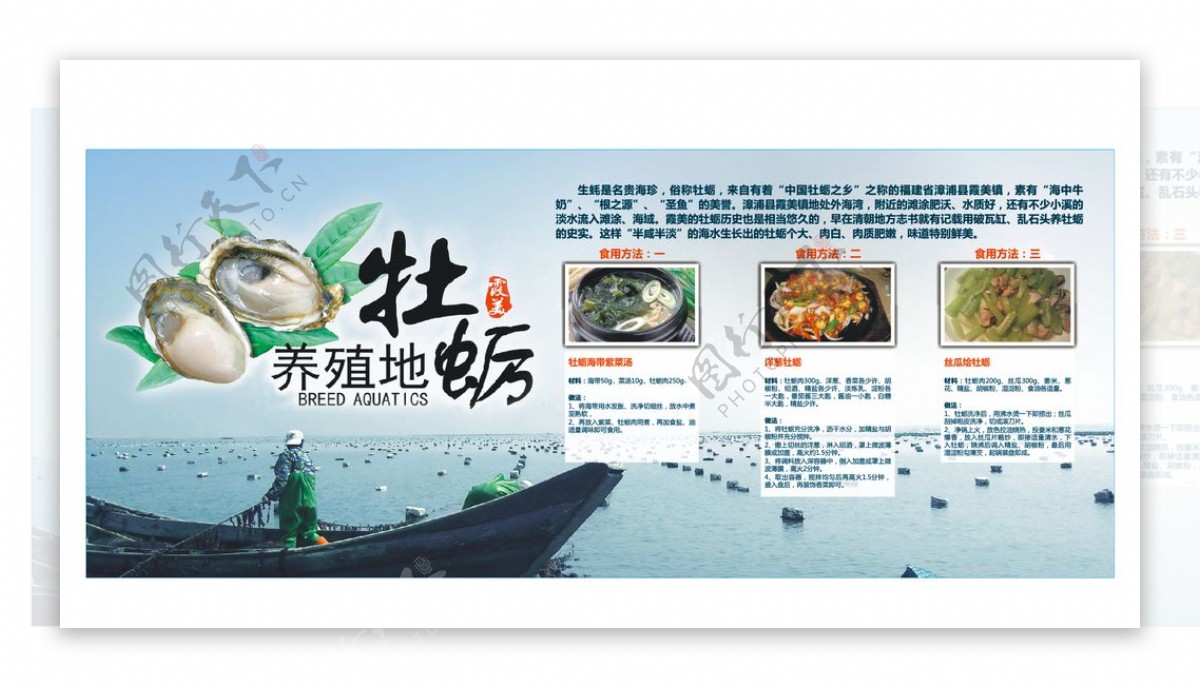 牡蛎宣传挂牌图片