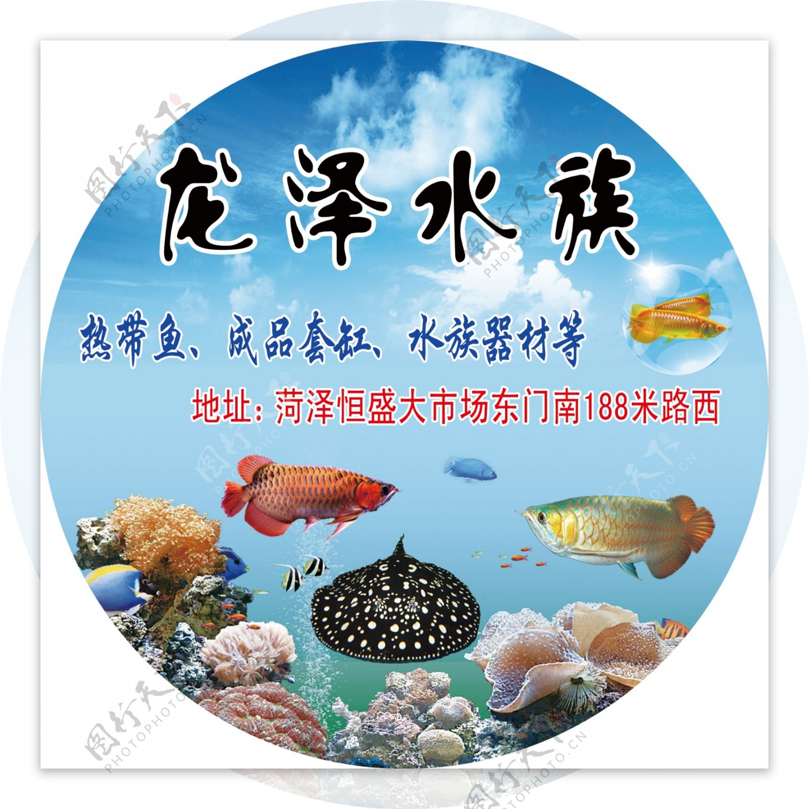 水族图片