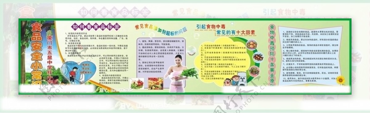 食品安全宣传栏图片