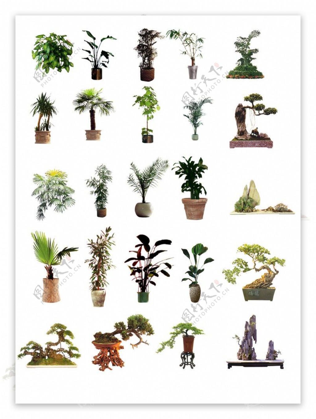 植物后期素材图片