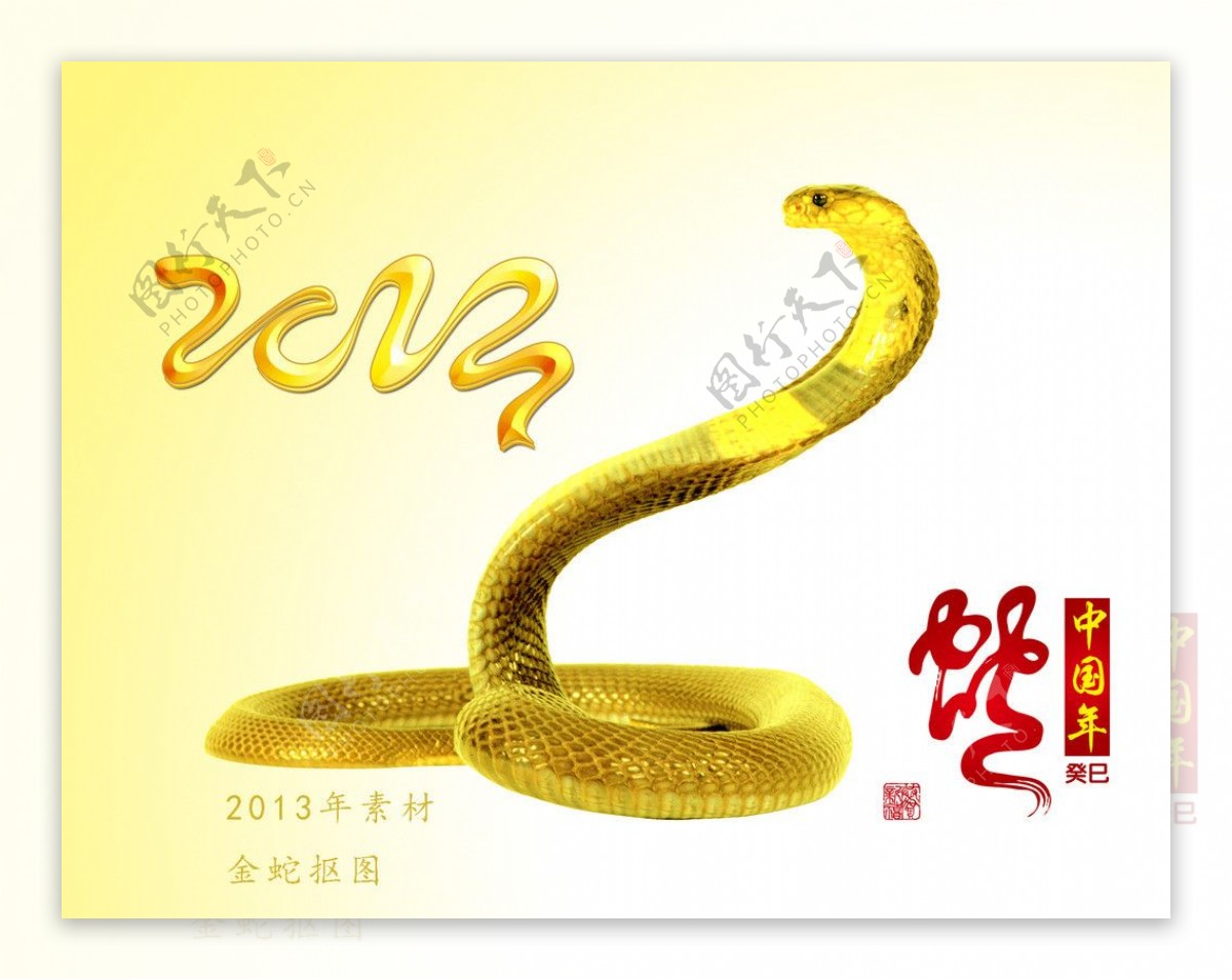 2013金蛇图片