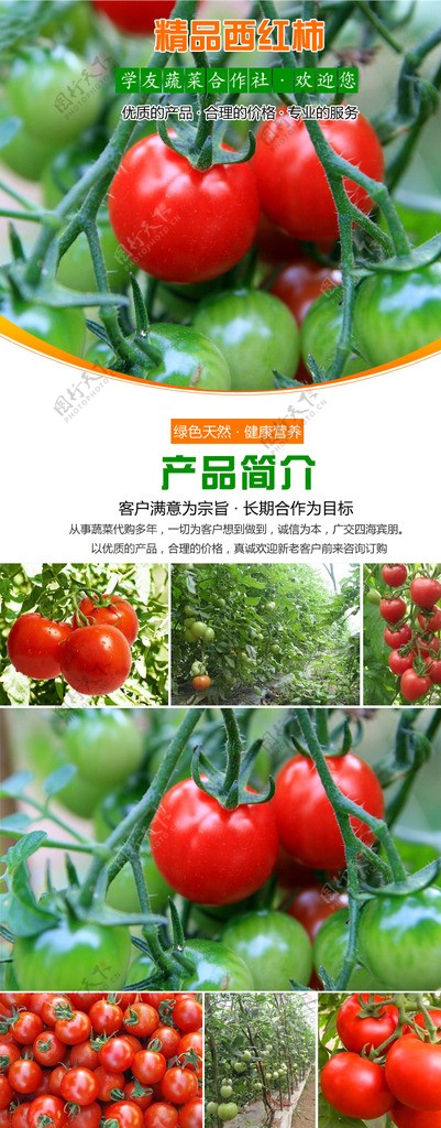 淘宝蔬菜西红柿详情设计图片