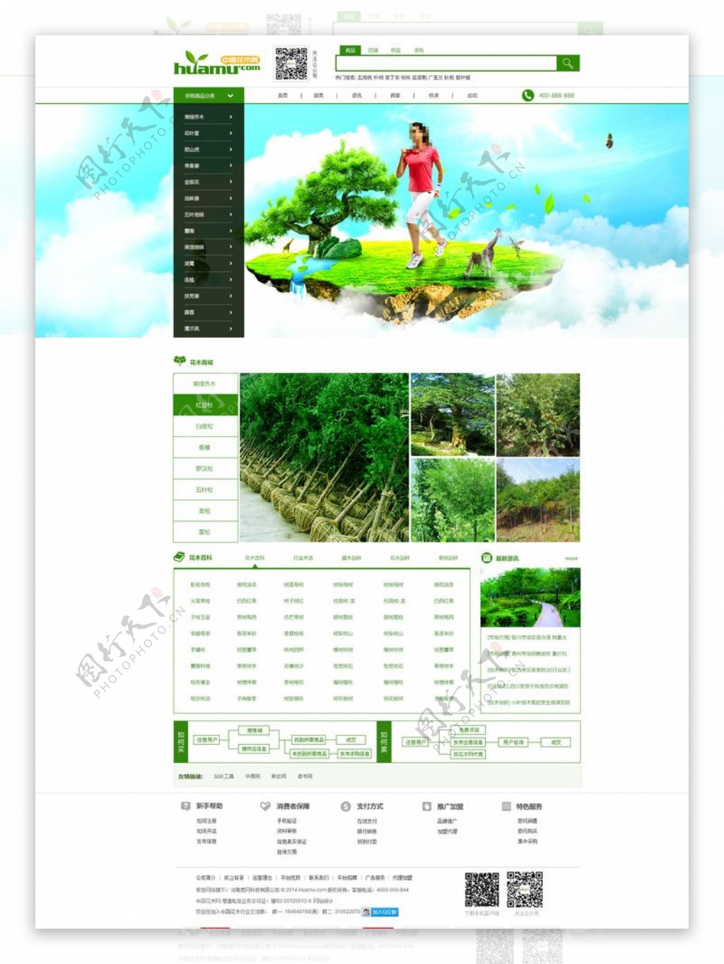 盆栽网站图片