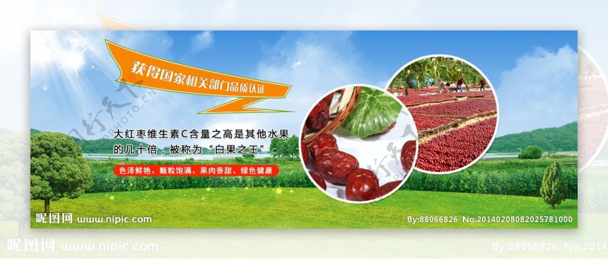 红枣网站banner图片