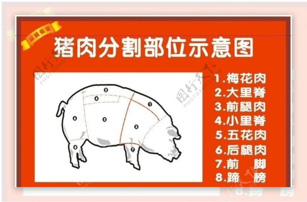 猪肉分割图图片