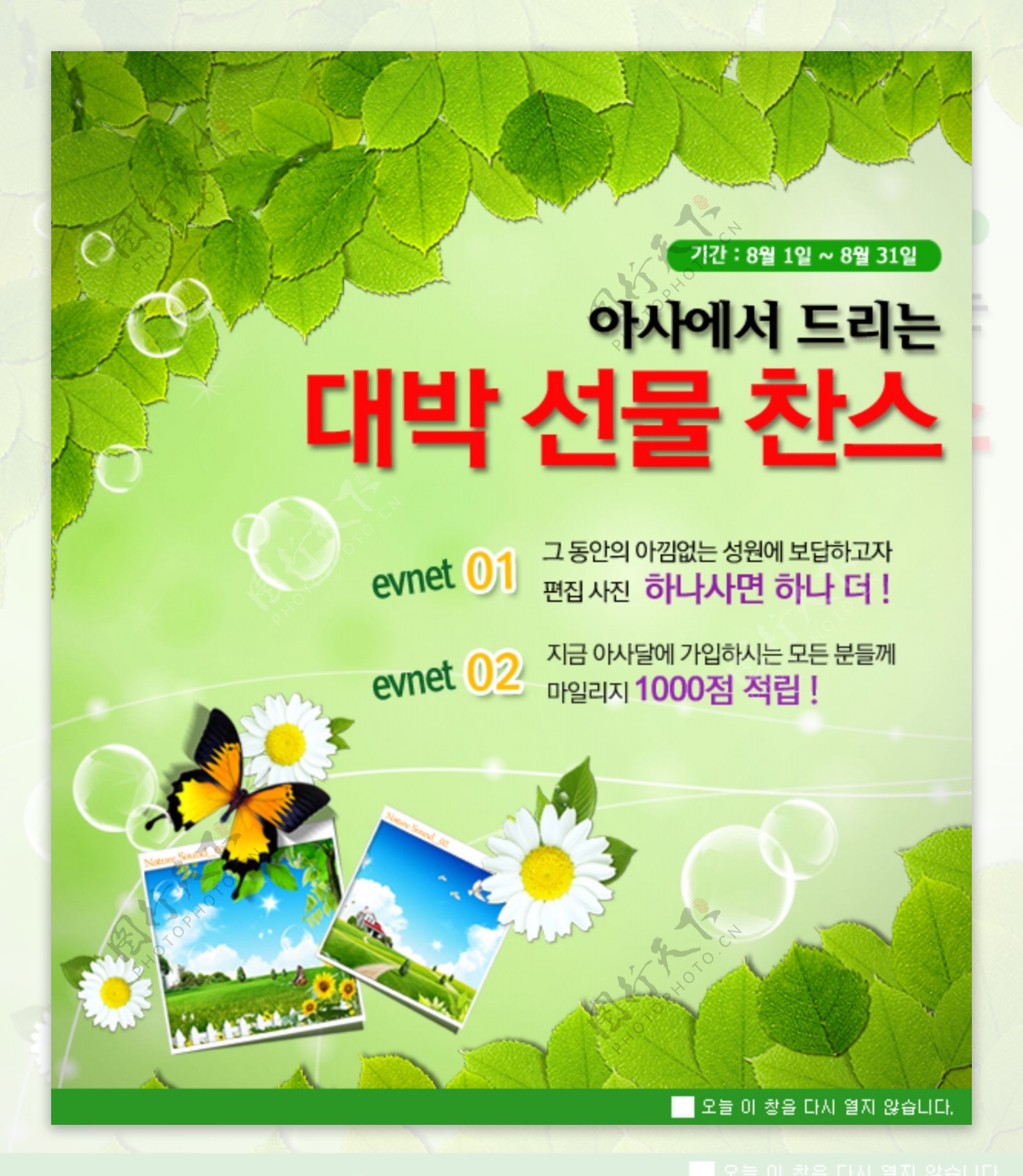 韩国网页绿叶图片