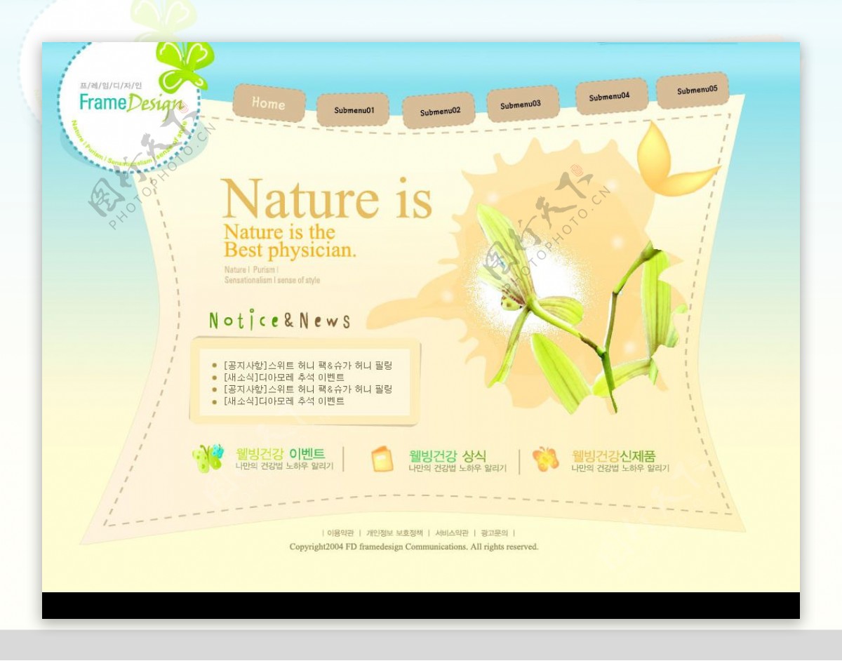 韩国清新自然网页模板图片