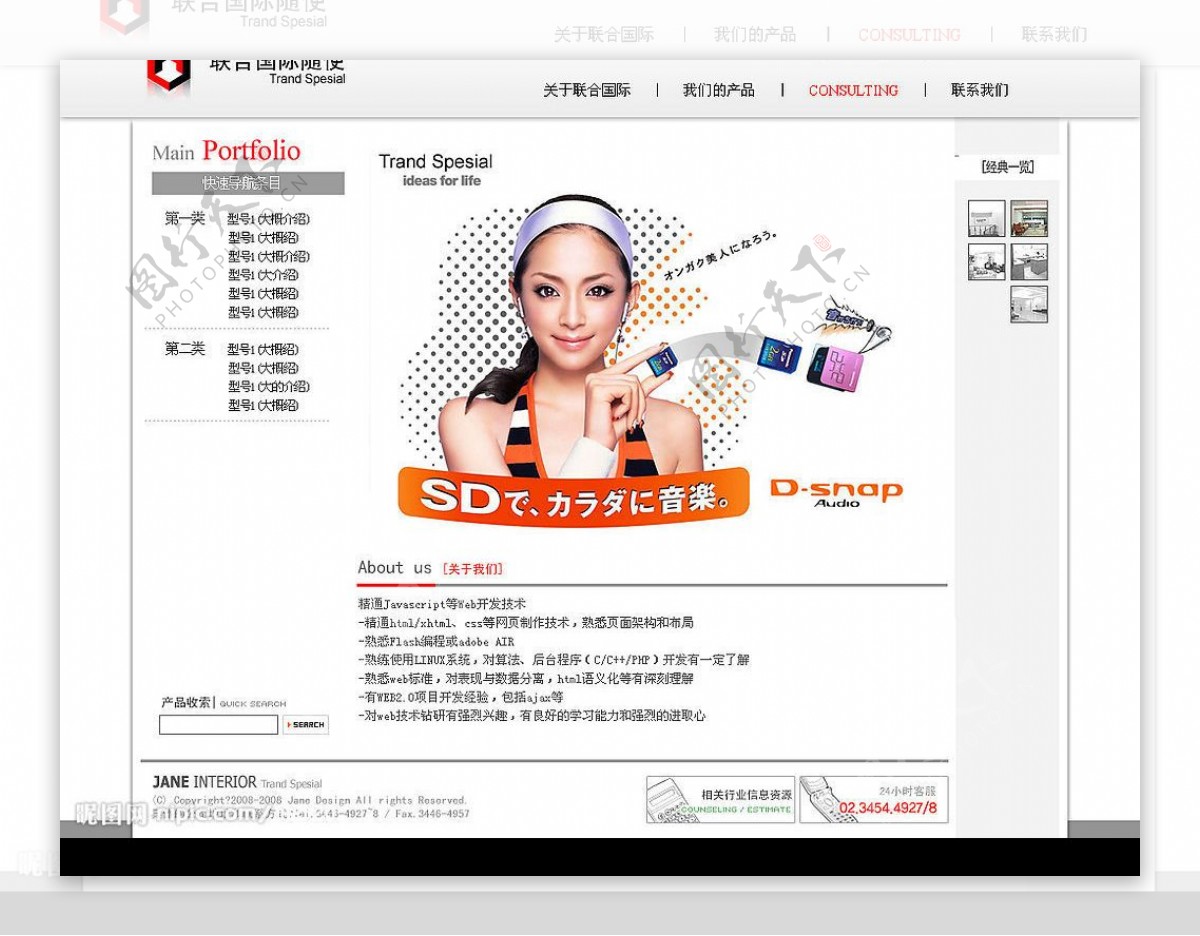 中文国际企业网模版图片