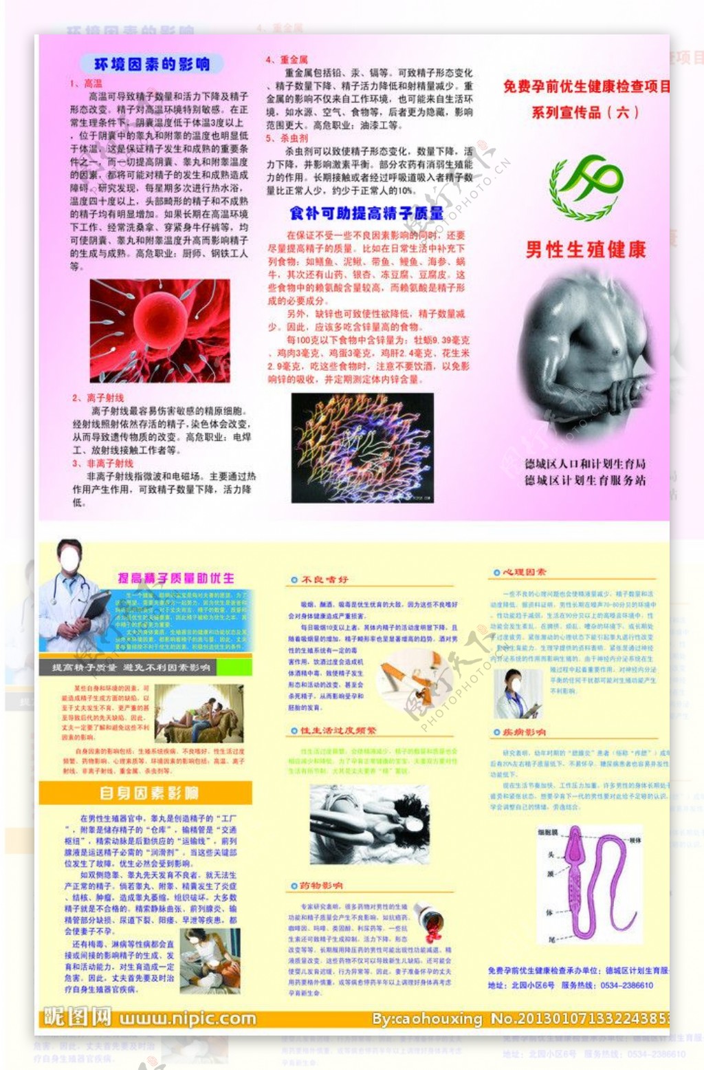 男性生殖健康折页图片