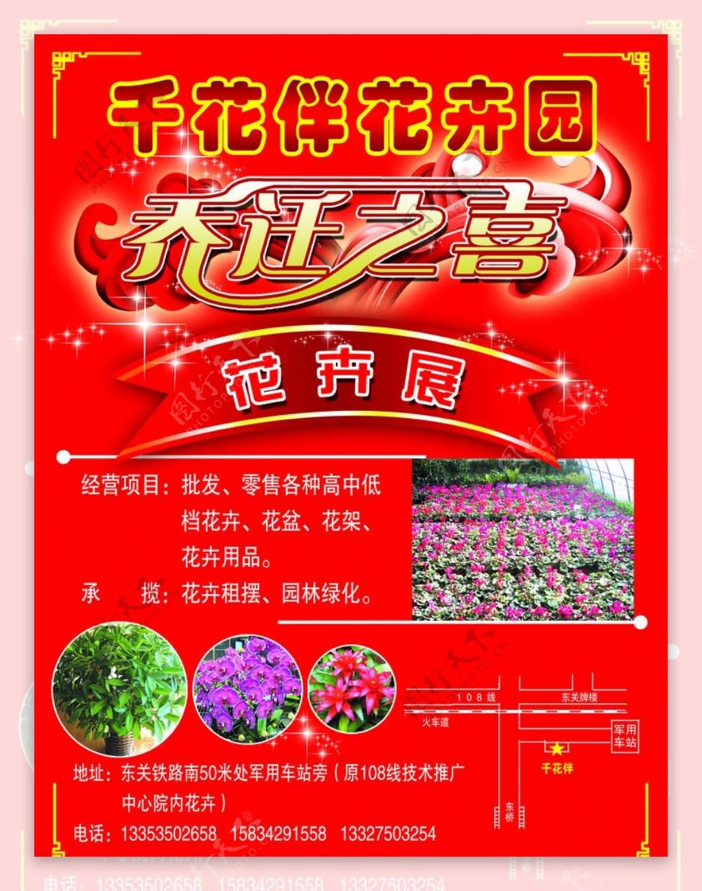 花卉彩页图片