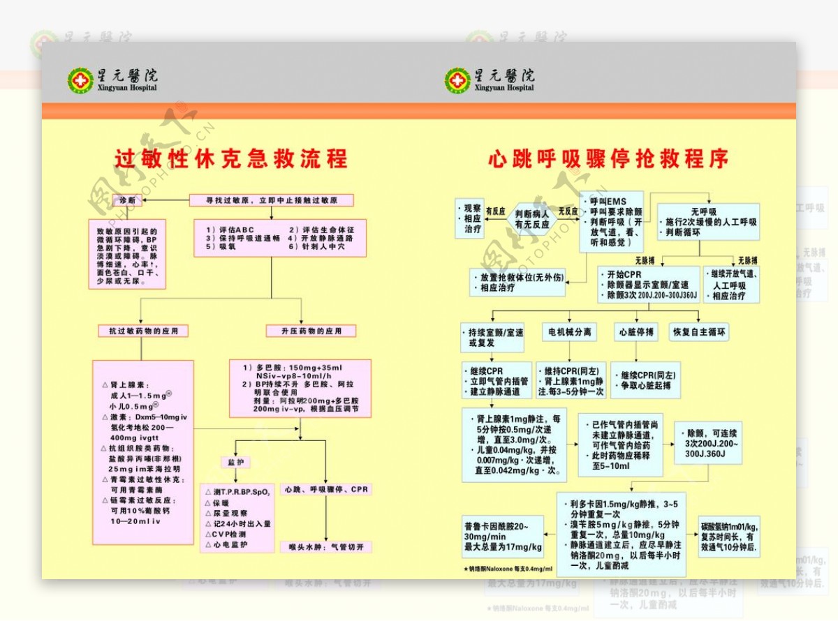 抢救流程图片