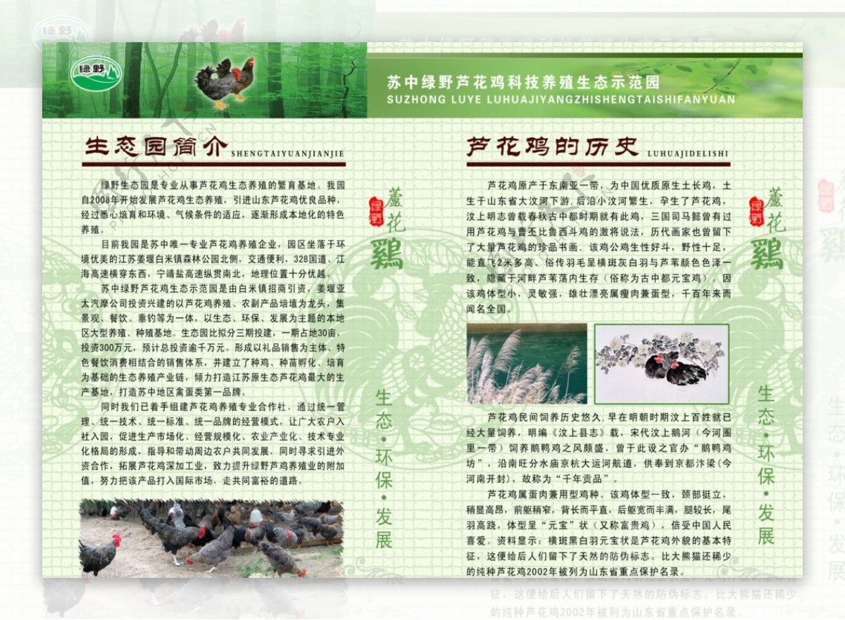 生态园简介芦花鸡的历史图片