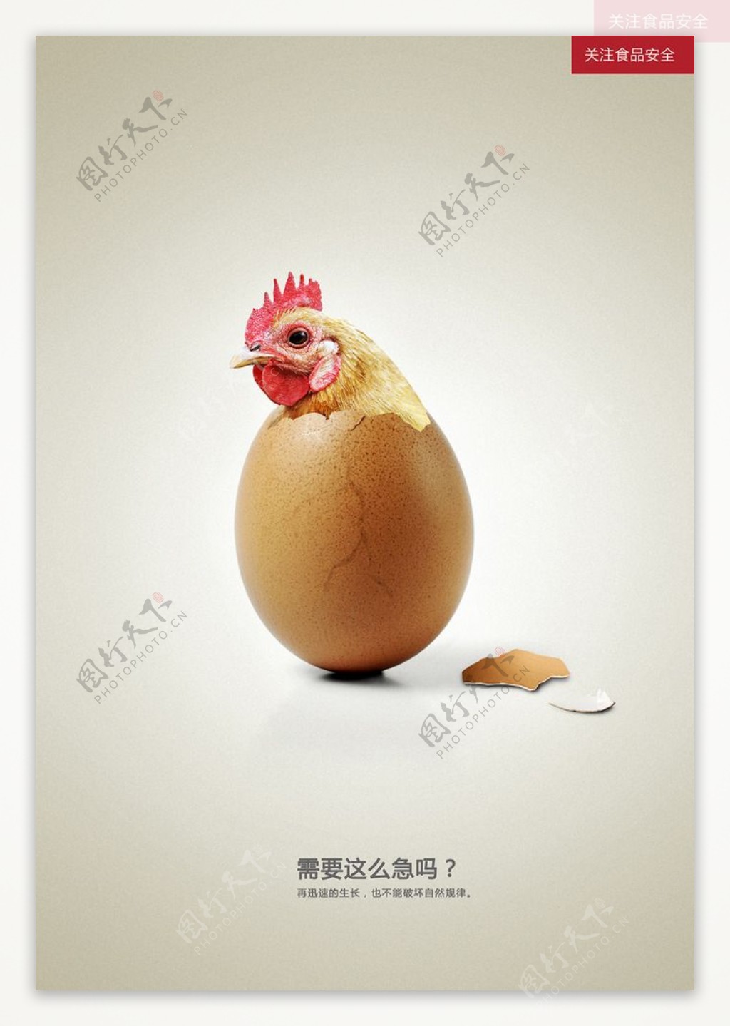 食品安全鸡蛋篇图片