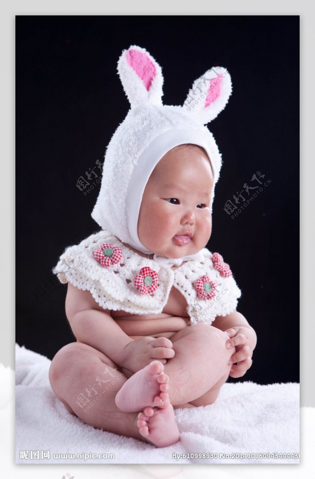 兔宝宝图片