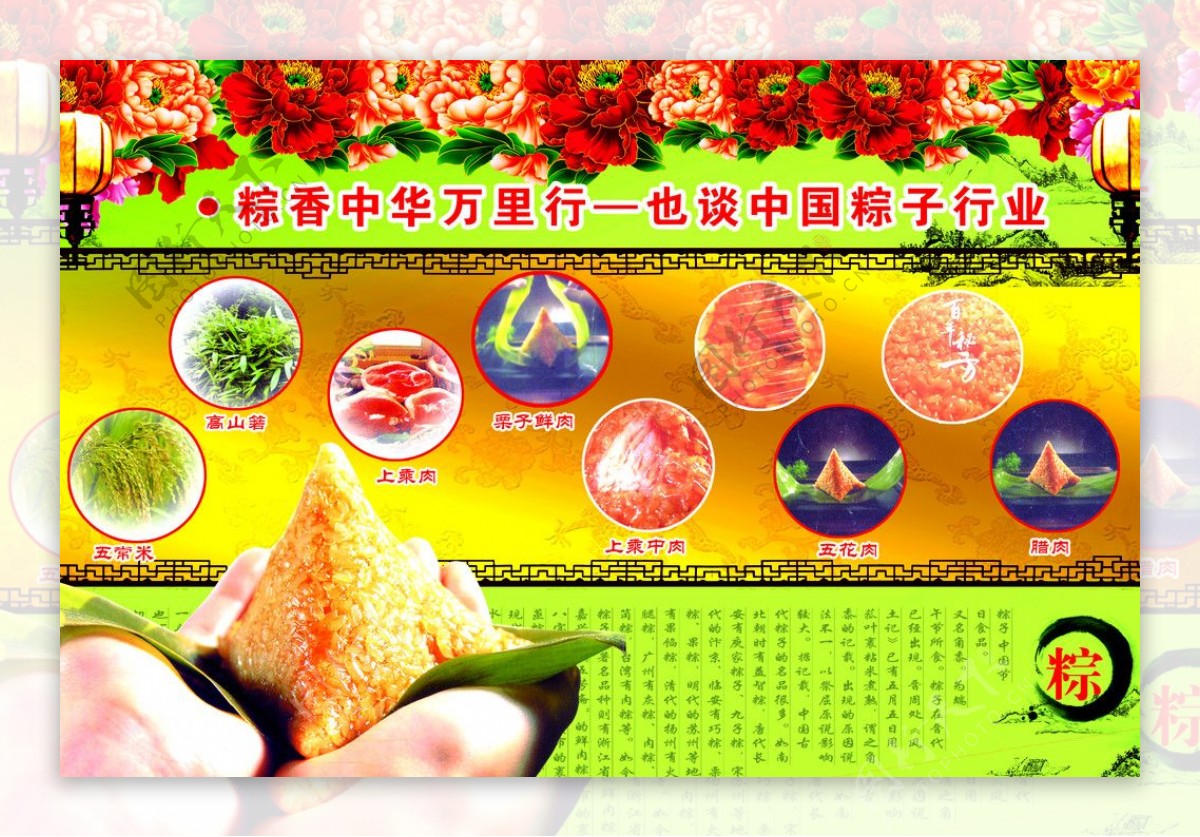红豆粽子图片素材-编号26189640-图行天下