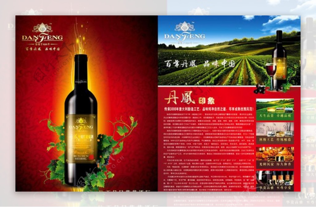 丹凤葡萄酒宣传单页图片