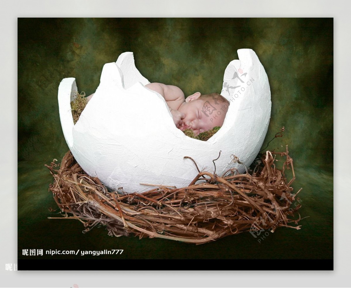 蛋壳里的宝贝图片
