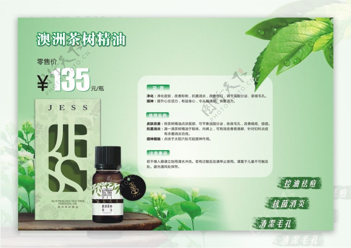 茶树精油海报图片