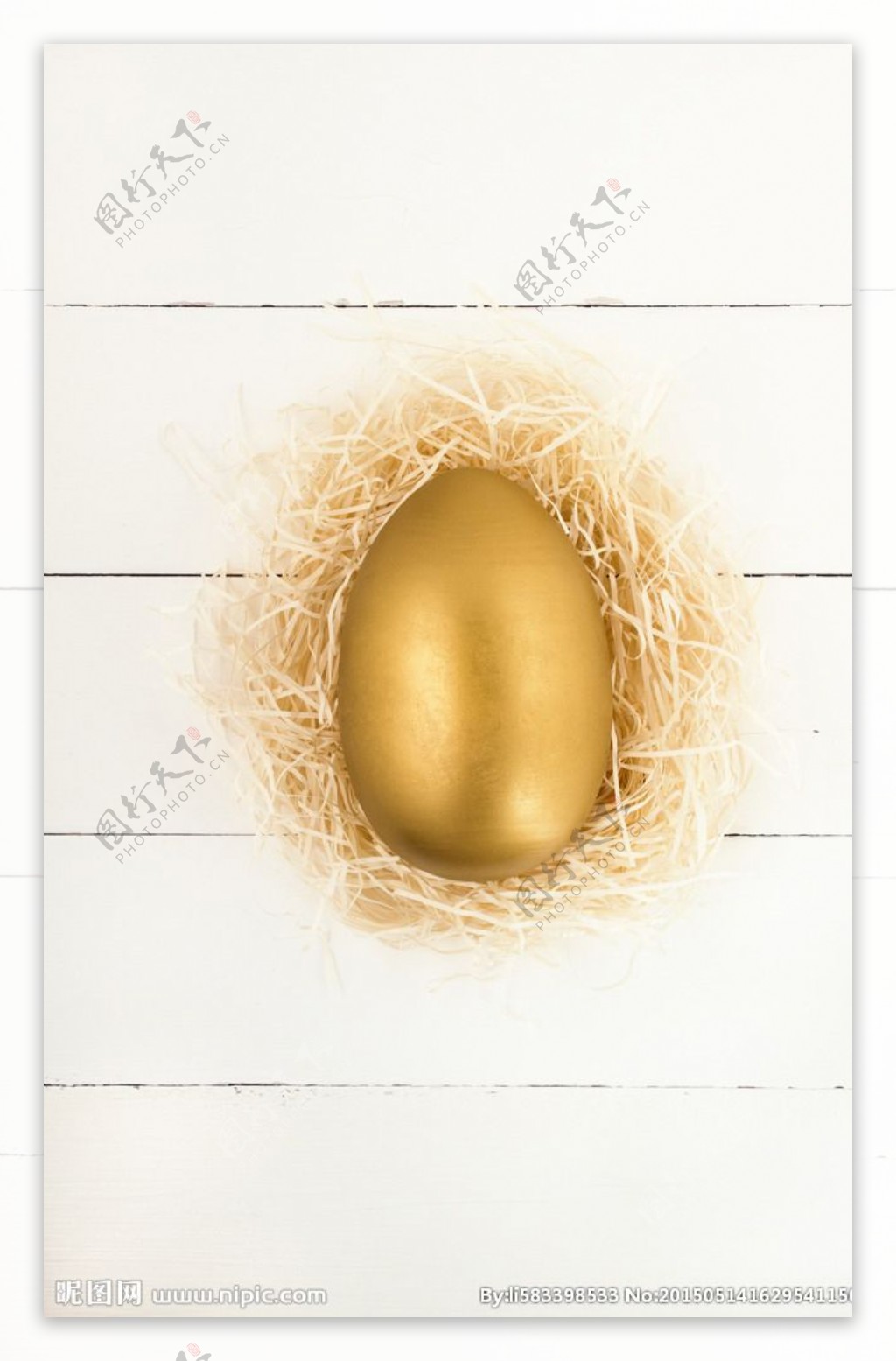 在鸟巢里的金鸡蛋高清图片