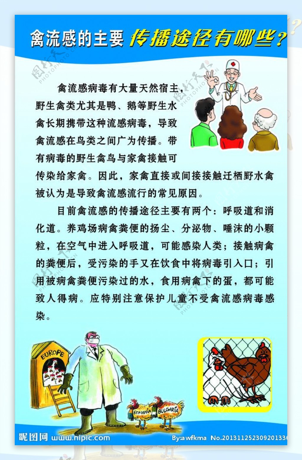 禽流感传播途径图片