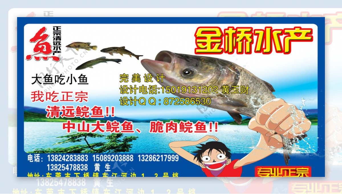 清远鱼广告图片