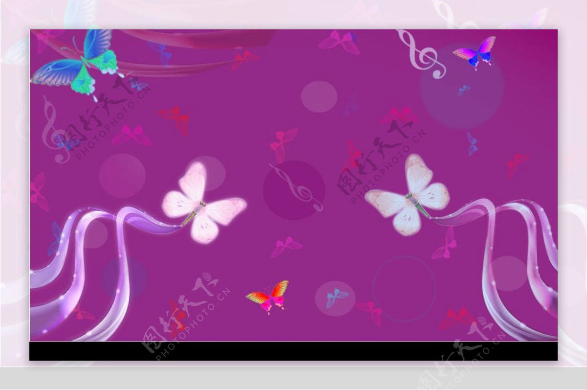 梦幻蝴蝶模板图片