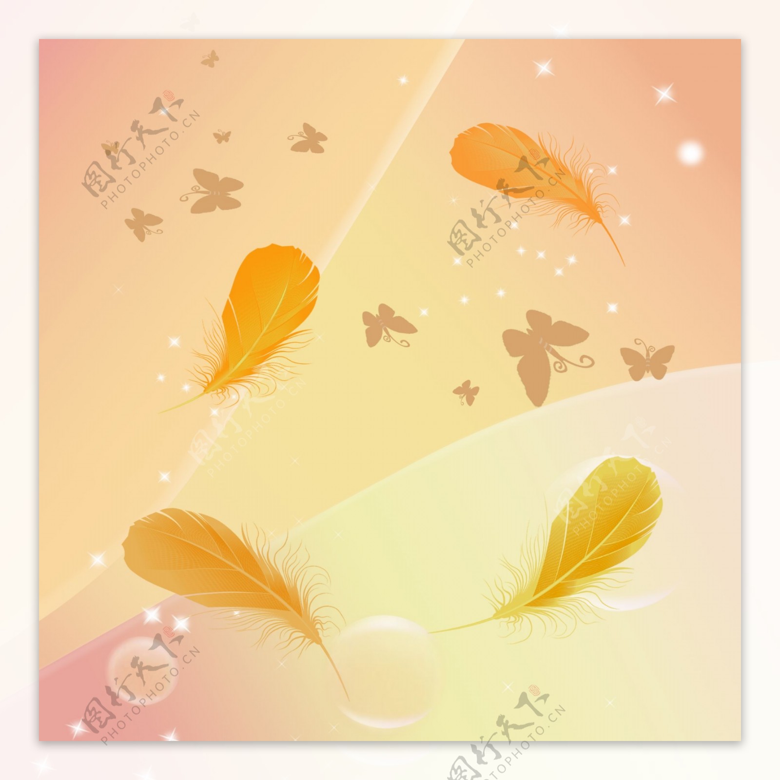 蝴蝶和羽毛图片