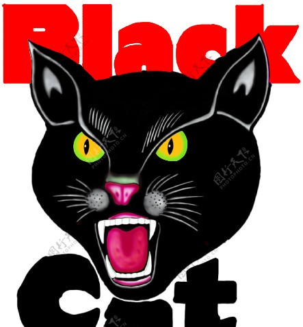 黑猫图片