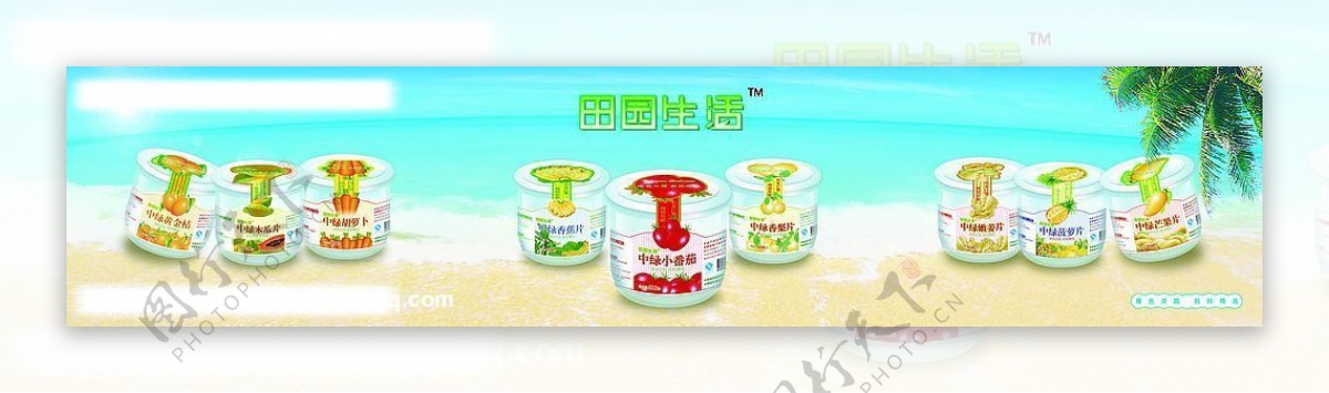 中绿蜜饯产品海报图片