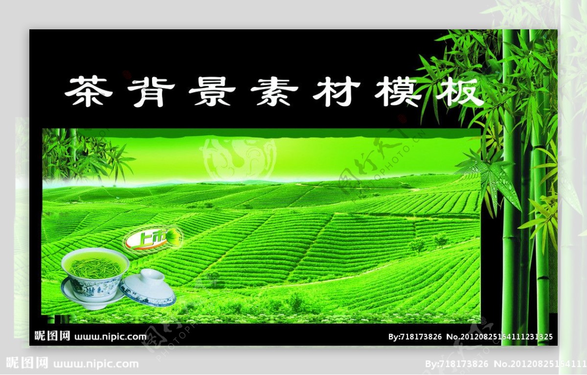 绿茶背景素材模板图片