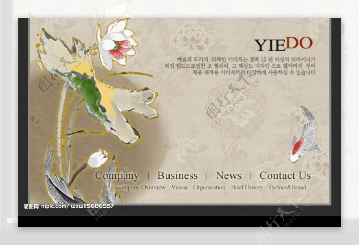 韩国精美花纹背景图片