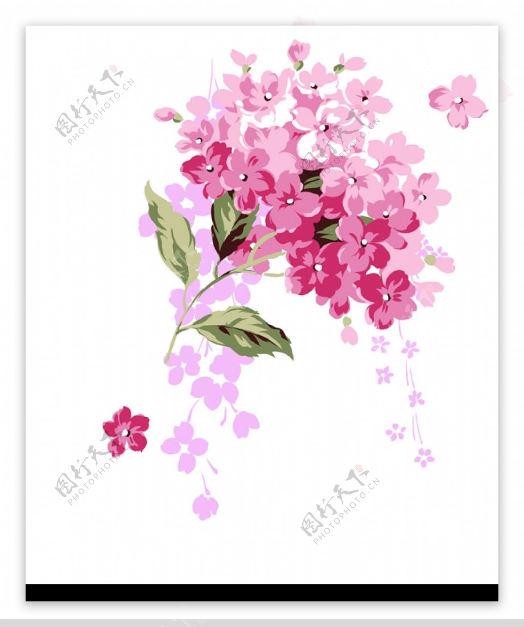 韩国花朵花纹图片
