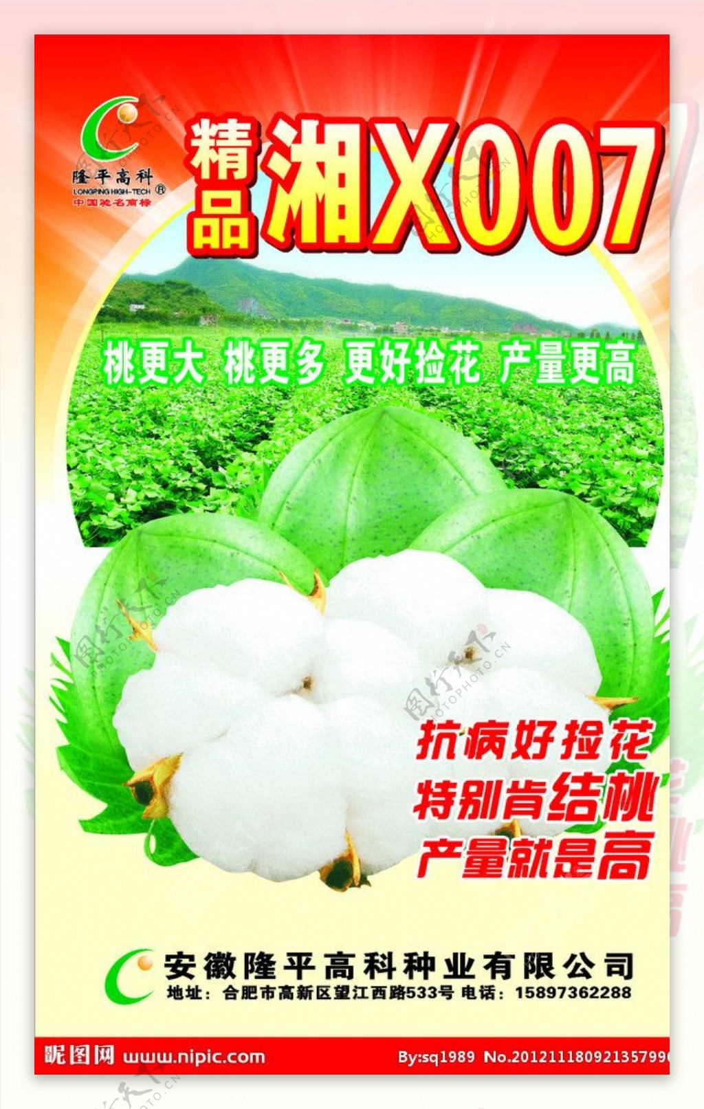 棉花棉花种子种子包装图片