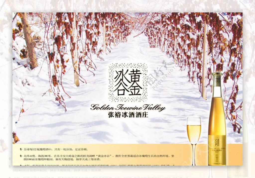 冰谷黄金葡萄酒海报图片