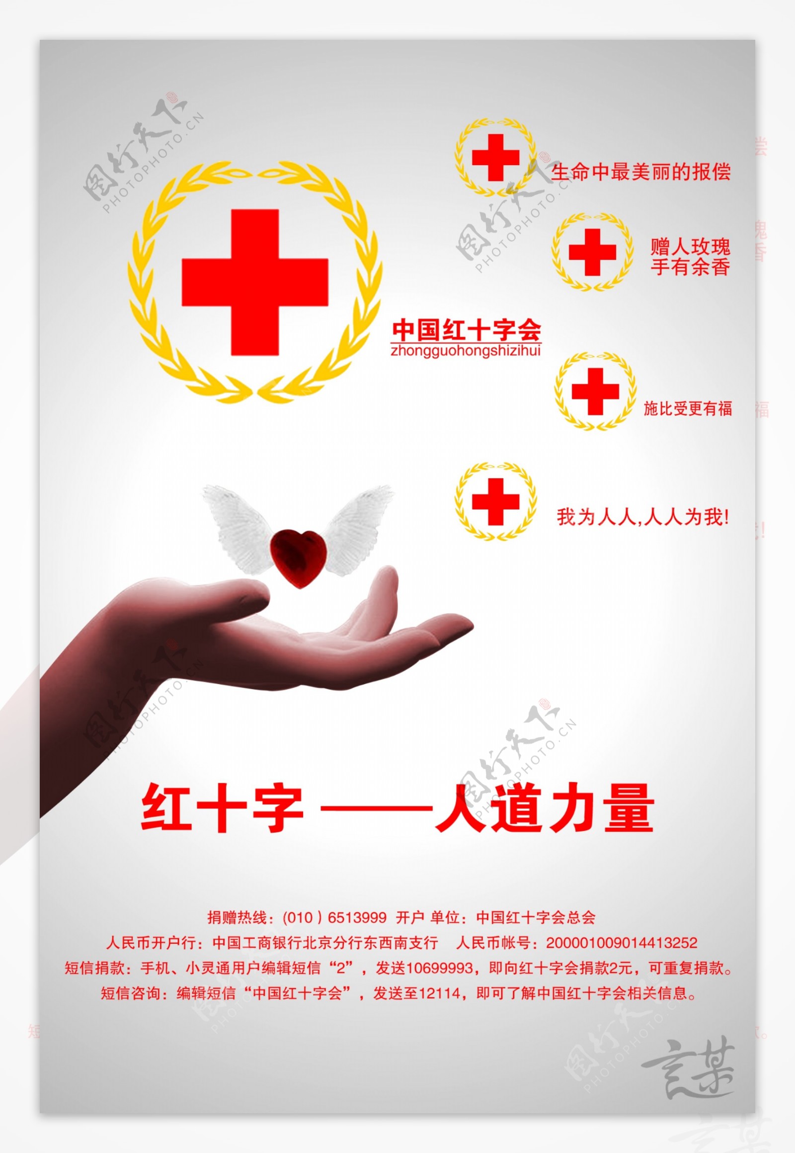 中国红十字图片