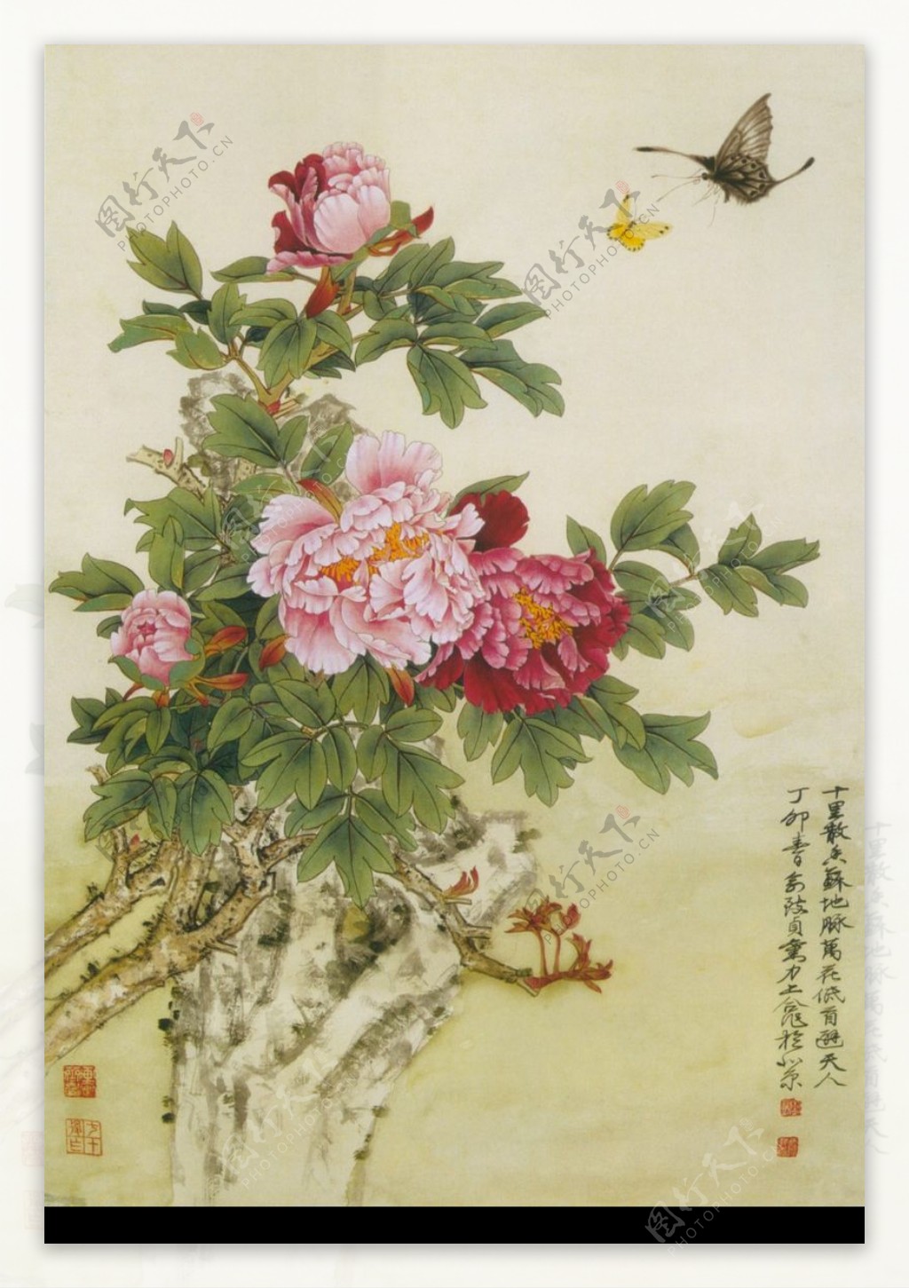 中国现代花鸟0015