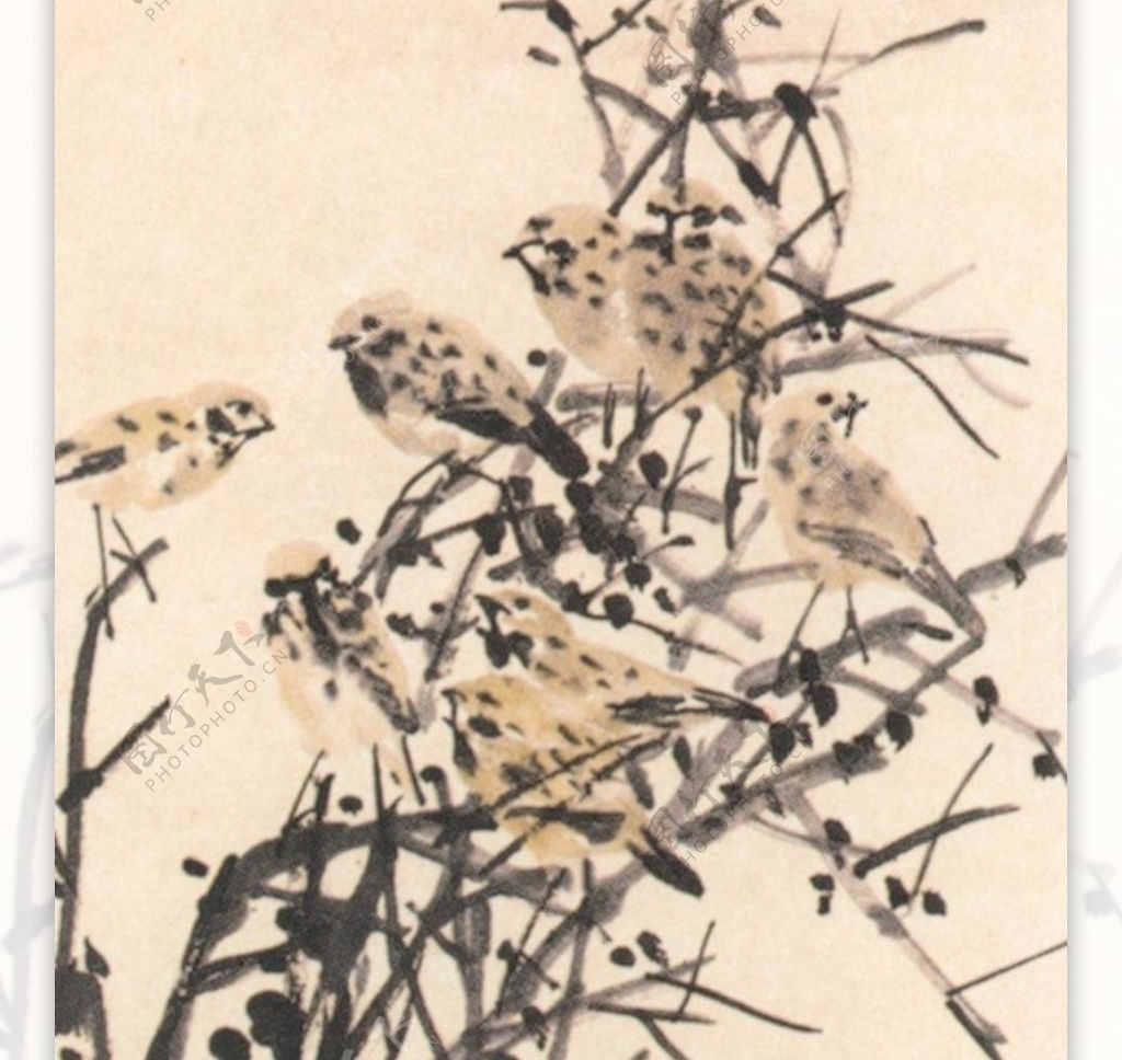 中国现代花鸟0156