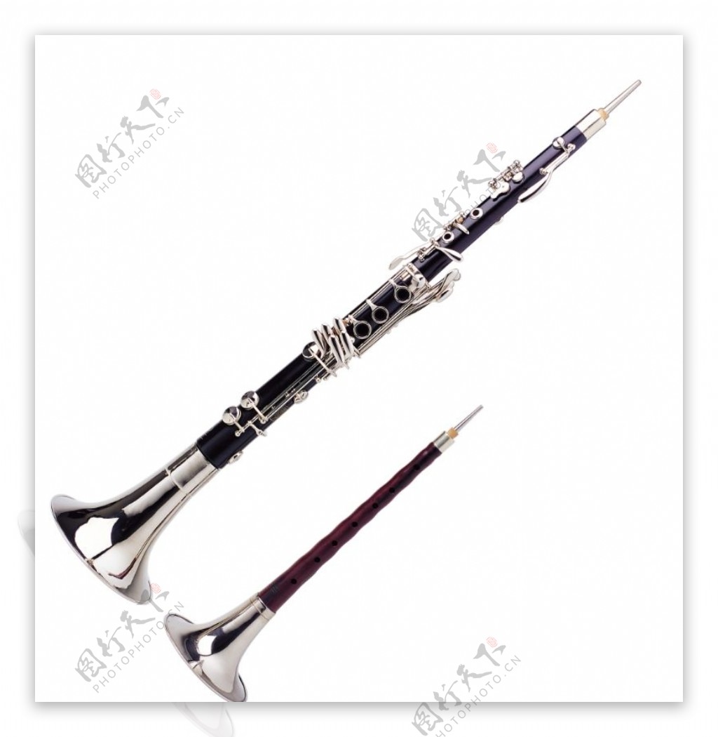 传统弦器乐器0041