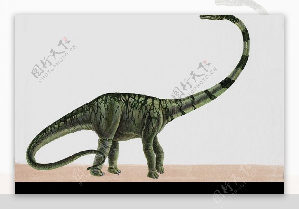 白垩纪恐龙0010