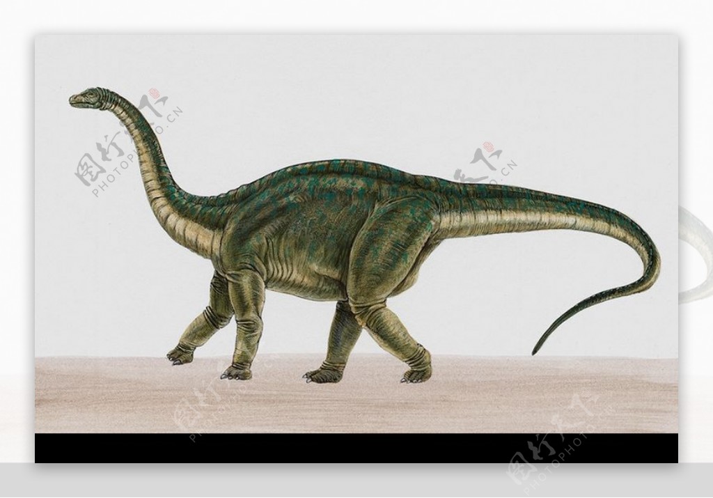 白垩纪恐龙0037