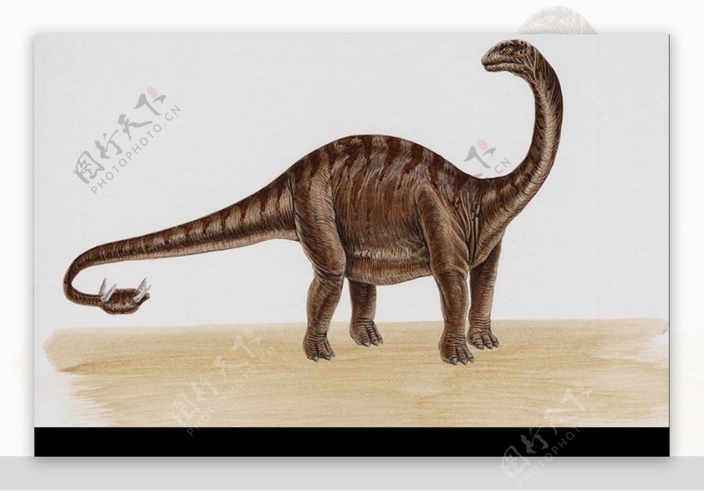 白垩纪恐龙0044