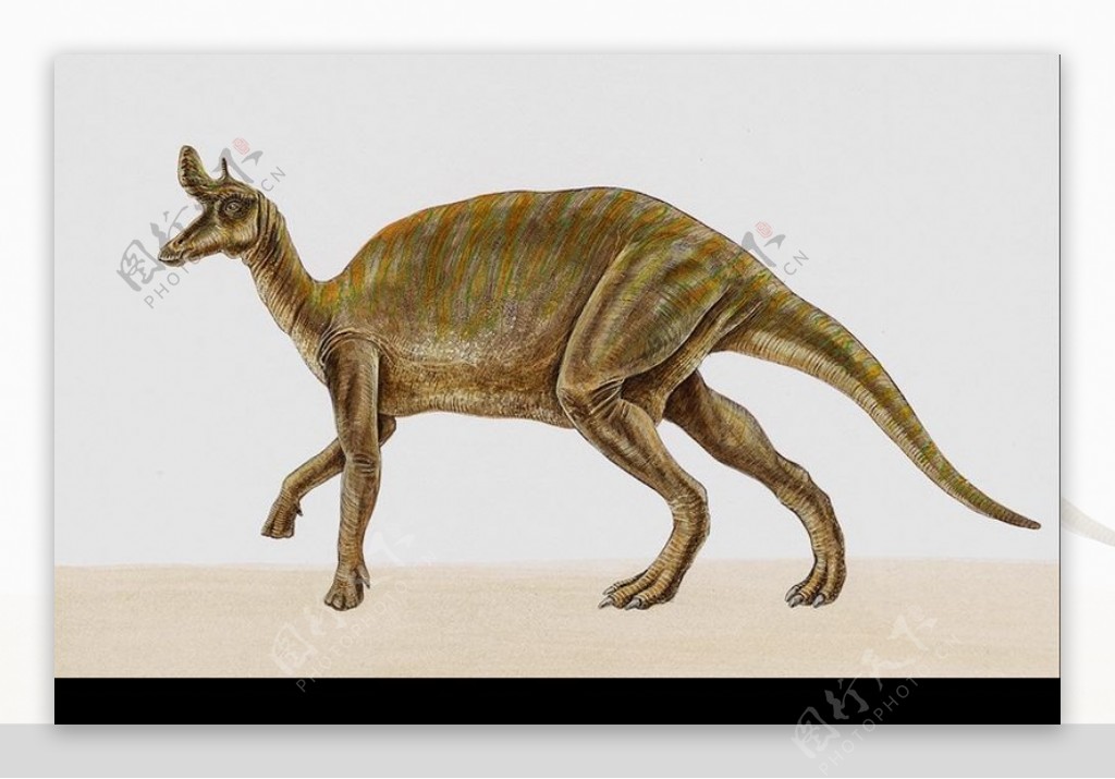 白垩纪恐龙0048