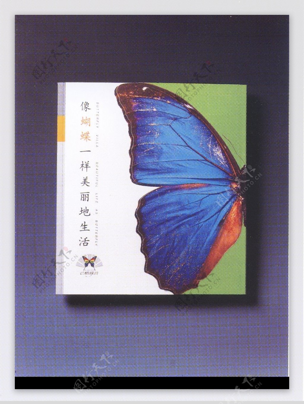 中国书籍装帧设计0128
