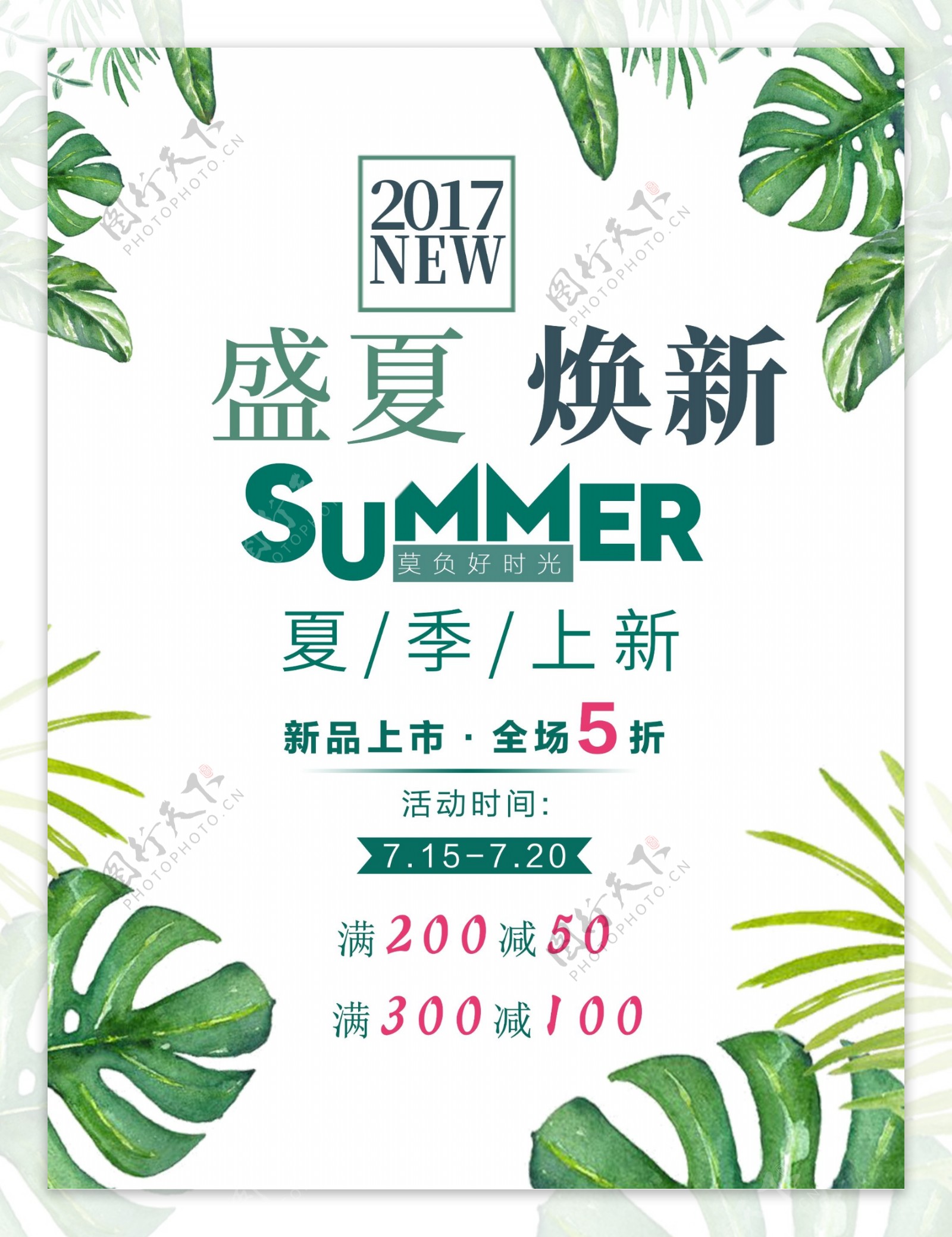 盛夏焕新