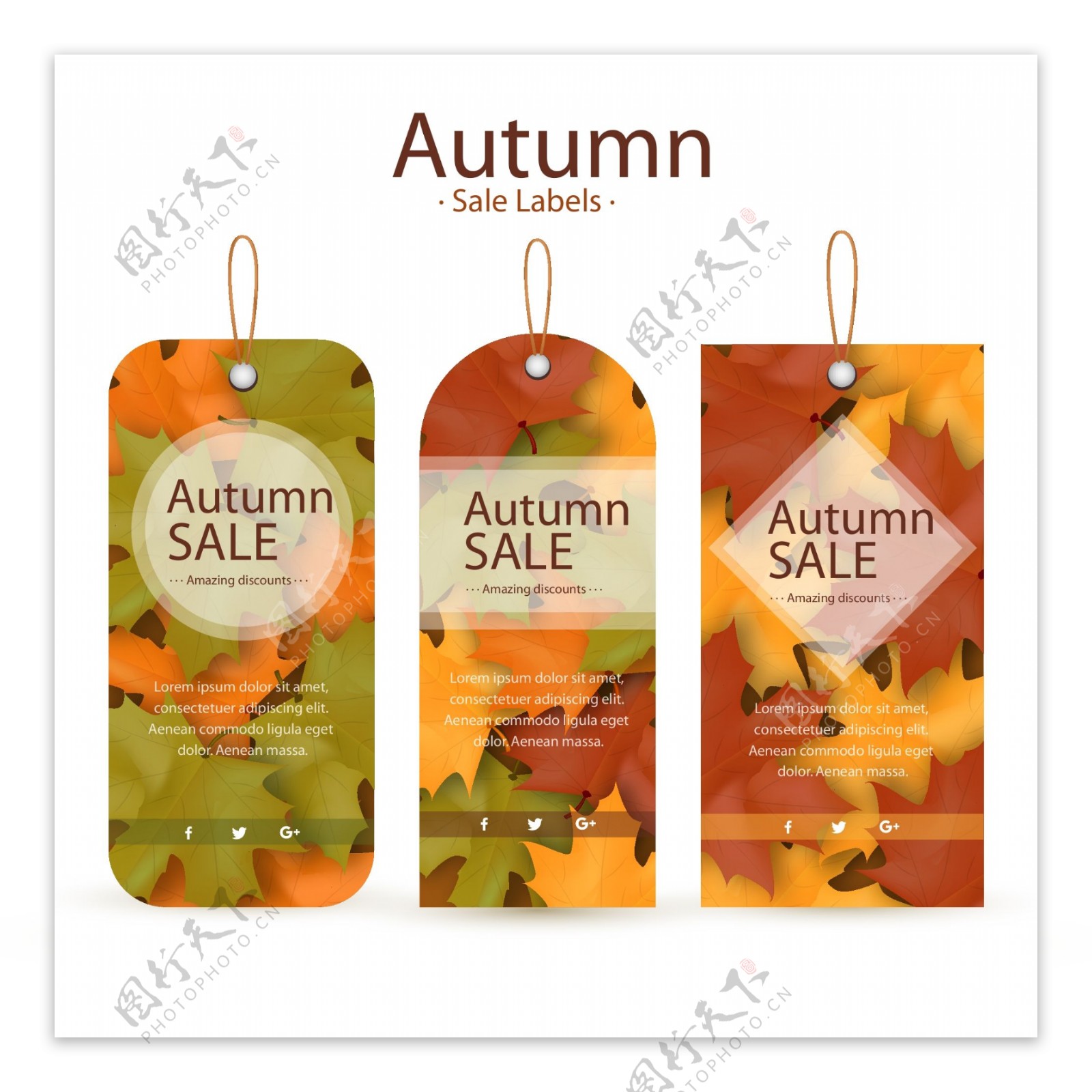 3款秋季树叶装饰吊牌矢量素材