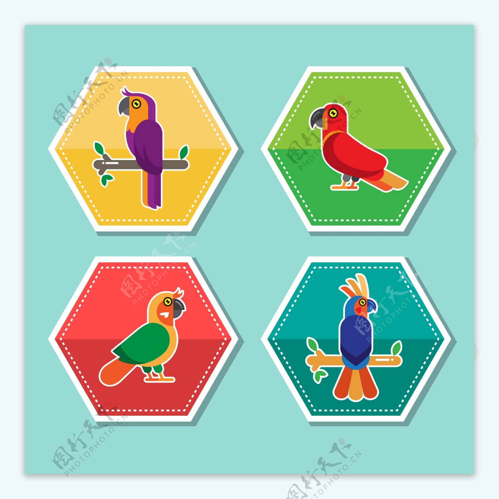 4款彩色六边形鹦鹉标签矢量素材